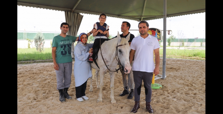 Atların mucizesi; Hippoterapi