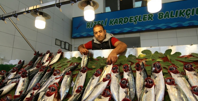 Balıkçılar artık yeni yerinde