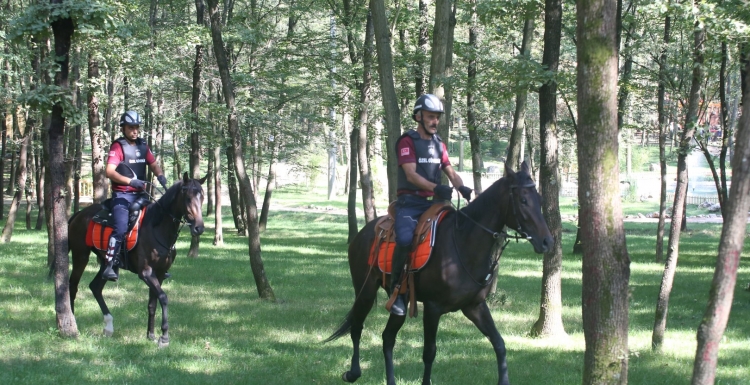 Büyükşehir atlı güvenlik, iş başında