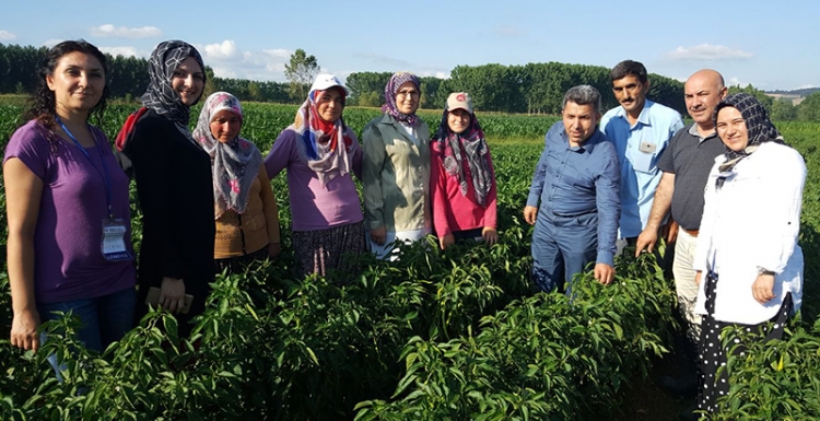 Büyükşehir’den yerli teşviği