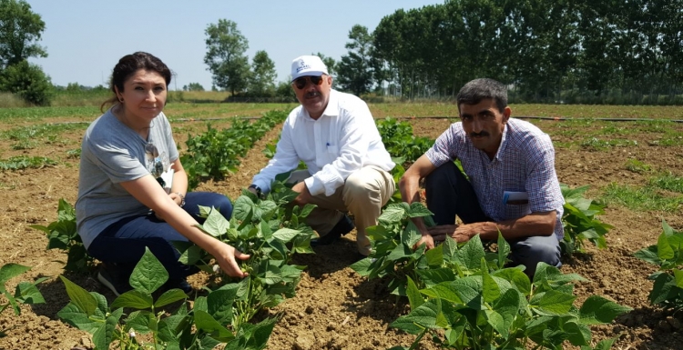 Çiftçilerin ürünlerini Büyükşehir kontrol ediyor