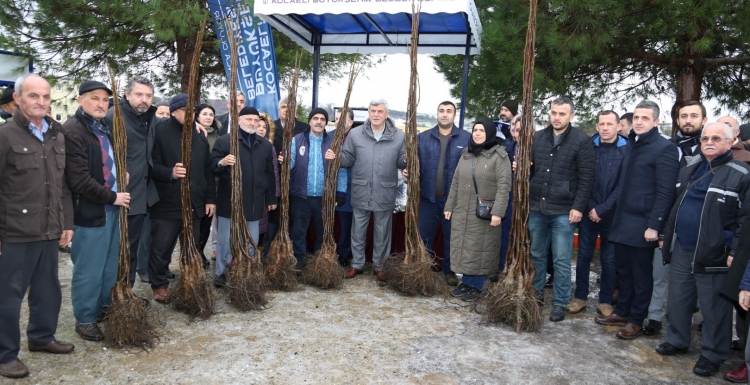 Kandıra’da 100 çiftçiye 6 bin ceviz fidanı