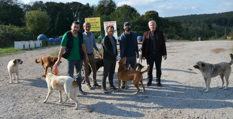 Kartepe’de sokak hayvanları aşılandı