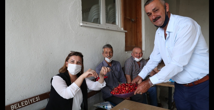 Kulfallı kirazı ve üzümü ulusal pazara açılacak   