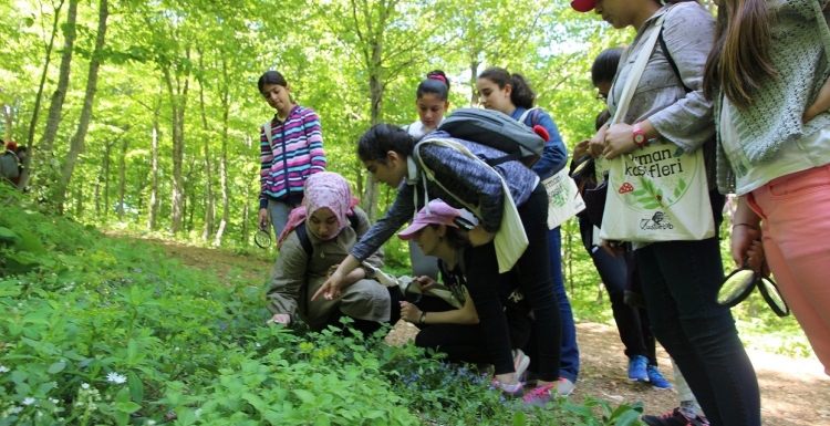 Orman Kaşifleri tabiatı okudu