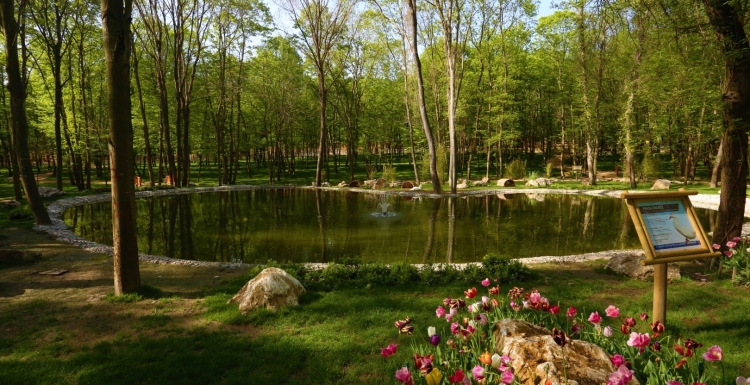 Ormanya, BKM’nin filmine ev sahipliği yapacak   