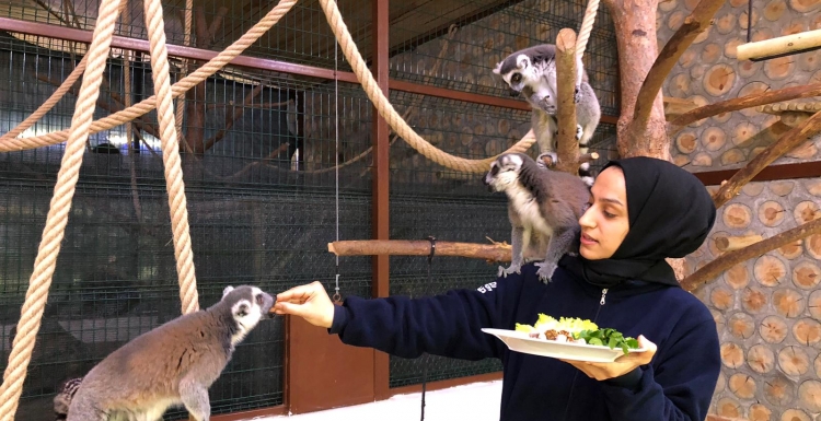 Ormanya’da Dünya Yaban Hayatı Günü kutlandı