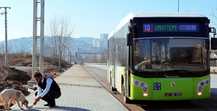 UlaşımPark’tan hayvanlara yardım eli