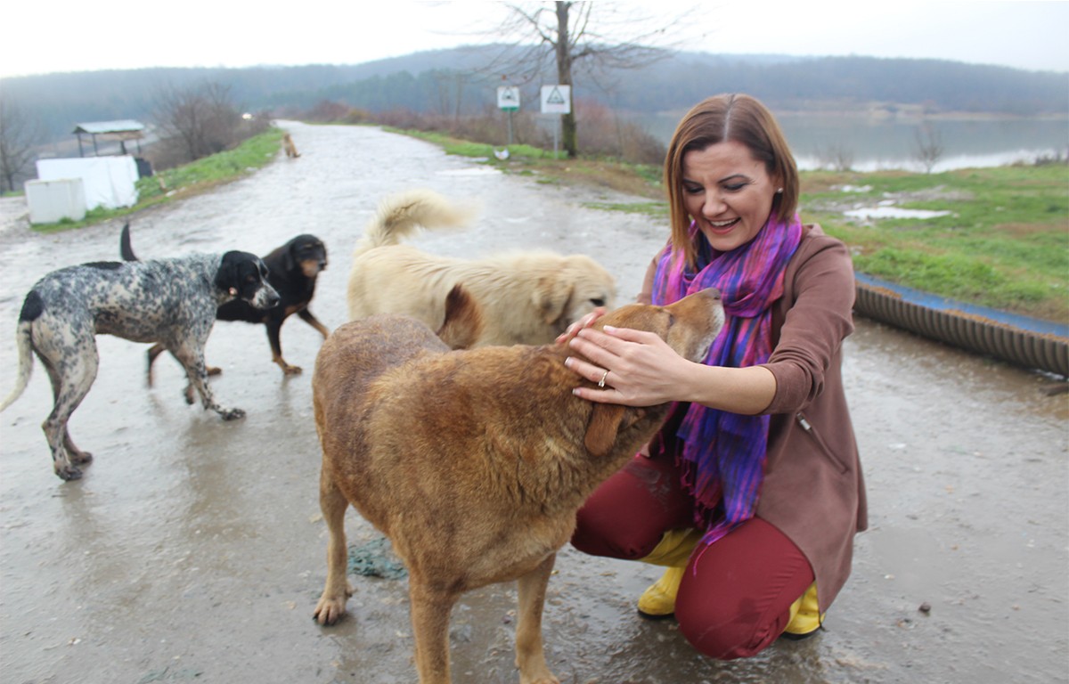 Hürriyet sokak hayvanları için harekete geçti