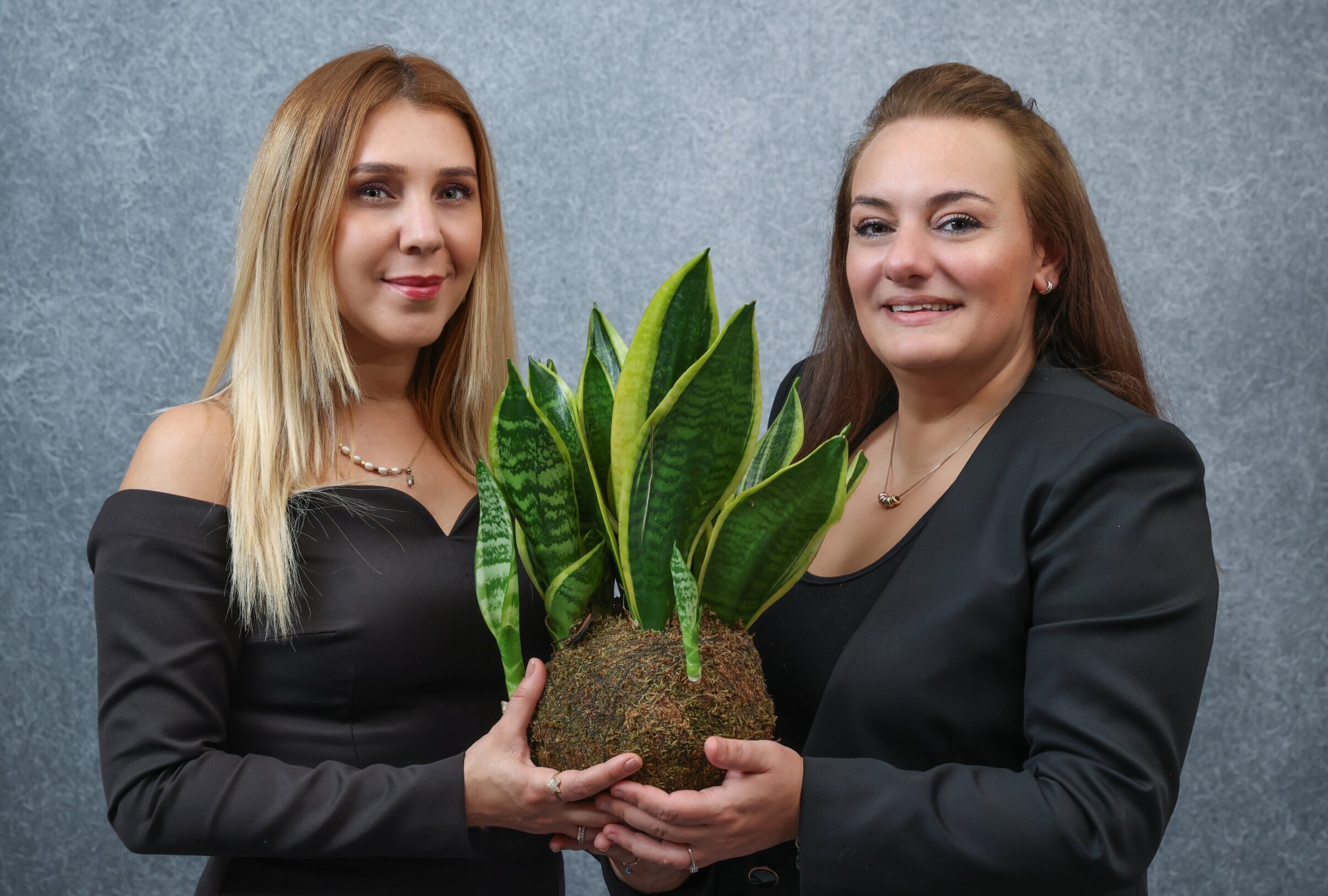 Doğaya, yalınlığa, estetiğe zarif bir saygı duruşu: KOKEZEN KOKEDAMA